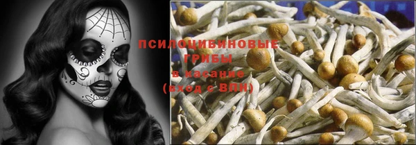 хмурый Зеленокумск