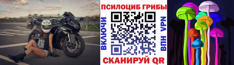 Купить закладки  Западная Двина  Псилоцибиновые грибы Cubensis 